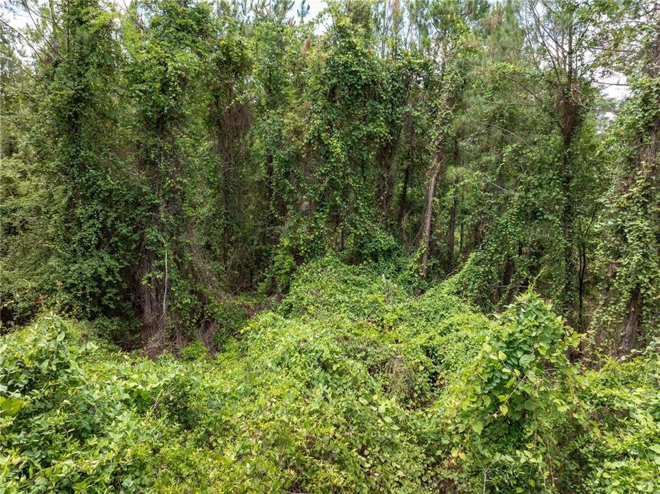 En Venta: $160,000 (9.67 acres)