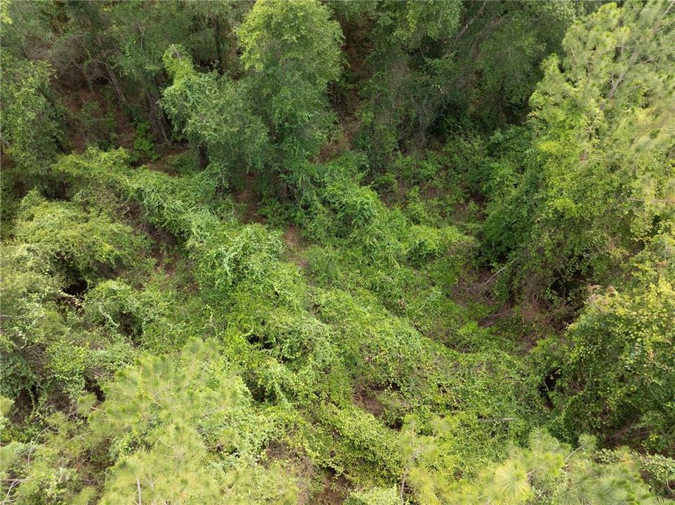 En Venta: $160,000 (9.67 acres)