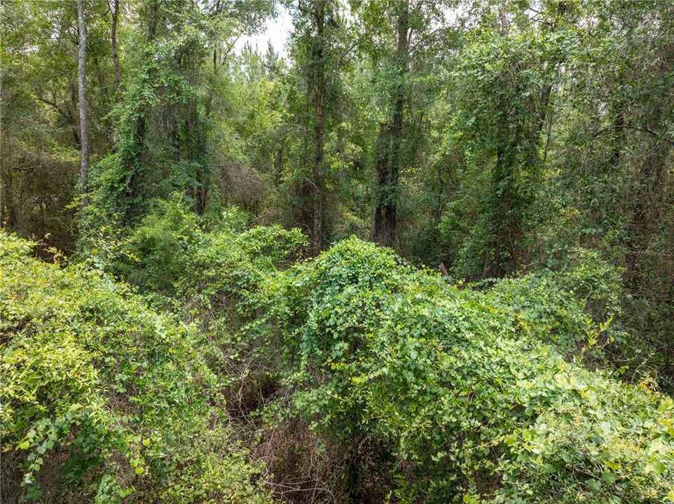 En Venta: $160,000 (9.67 acres)