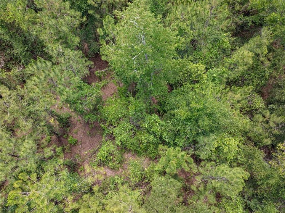 En Venta: $160,000 (9.67 acres)