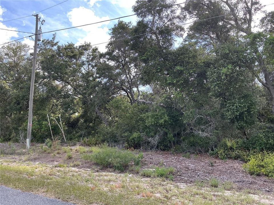 For Sale: $37,000 (0.34 acres)
