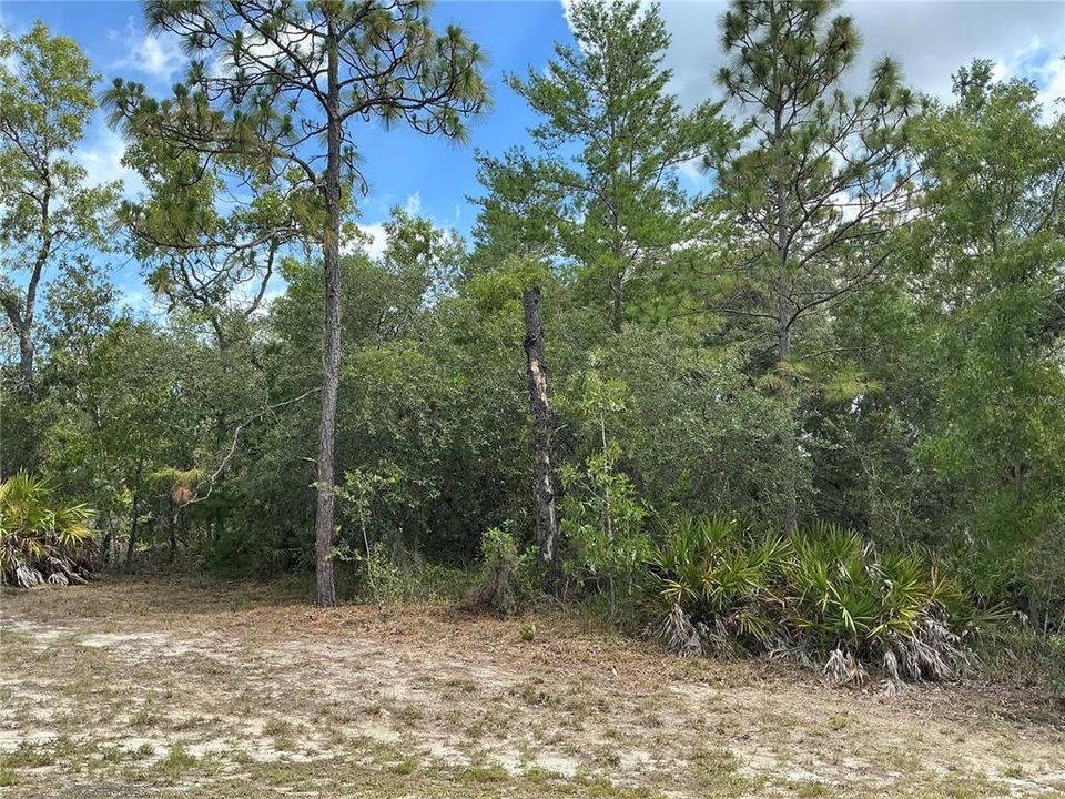 На продажу: $56,000 (0.46 acres)