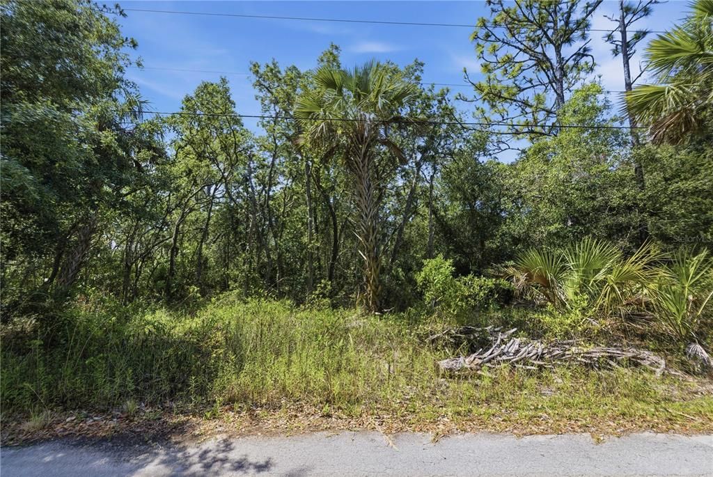 待售: $38,000 (1.08 acres)