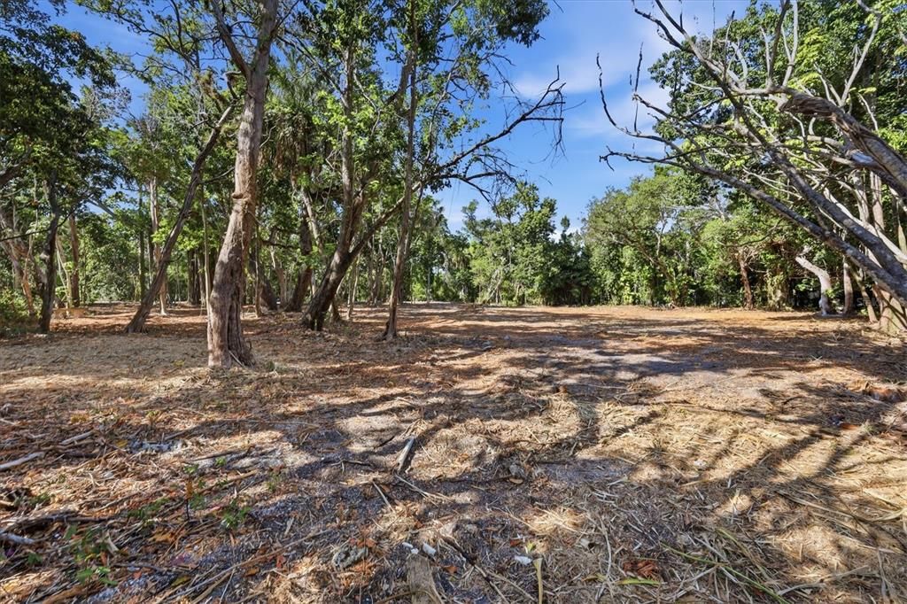 На продажу: $1,595,000 (0.52 acres)