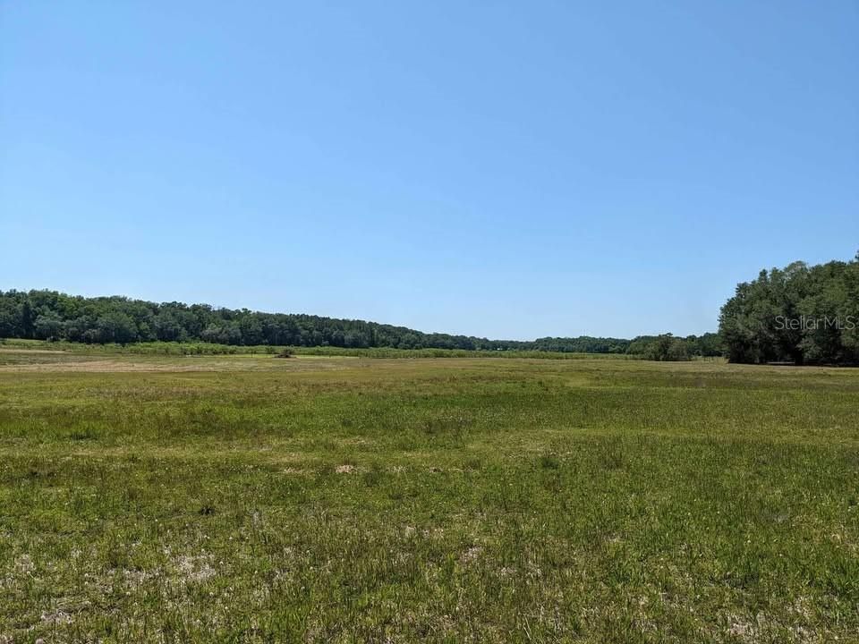 На продажу: $240,000 (20.00 acres)