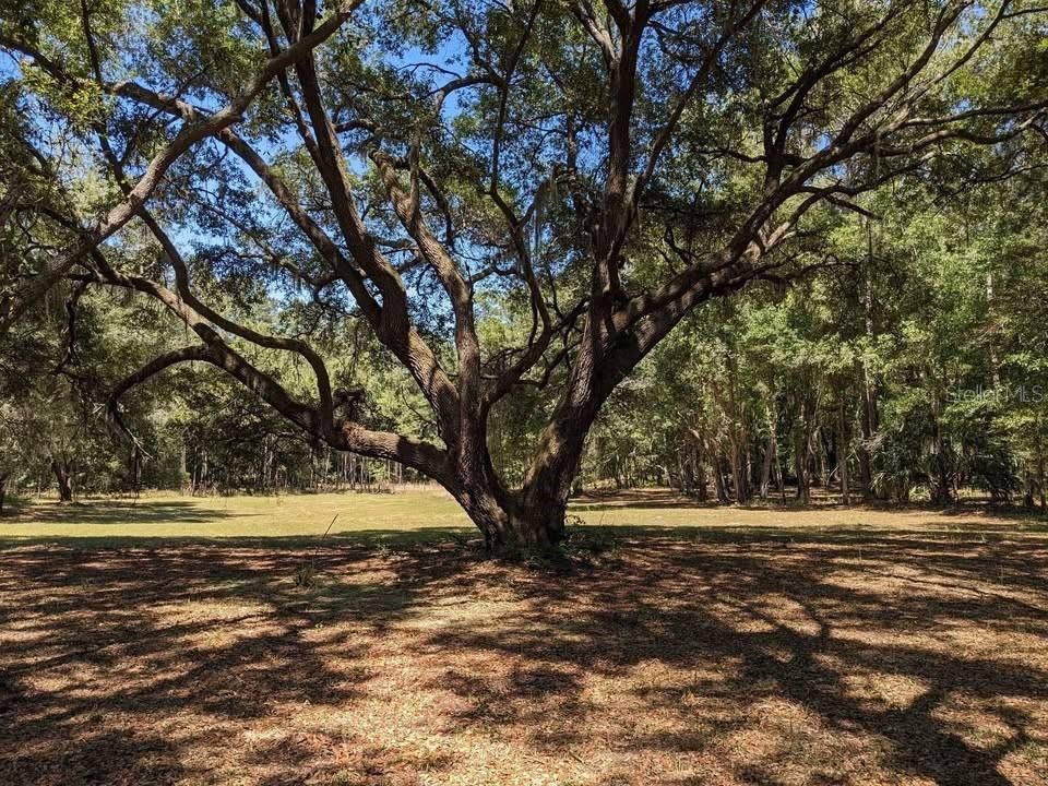 На продажу: $240,000 (20.00 acres)