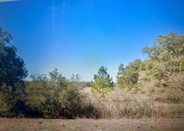 На продажу: $240,000 (20.00 acres)