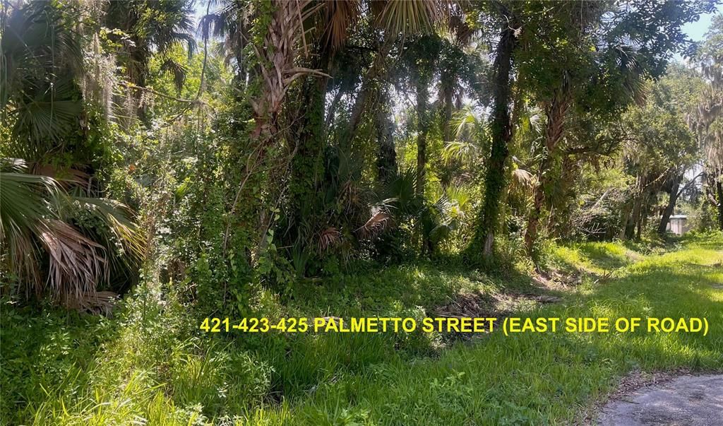En Venta: $559,000 (1.11 acres)