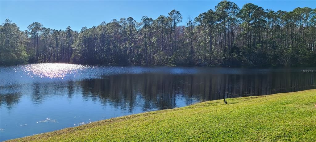 For Rent: $2,650 (3 beds, 2 baths, 1810 Square Feet)