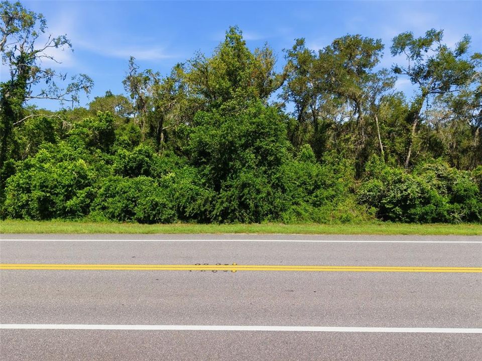For Sale: $99,000 (1.30 acres)