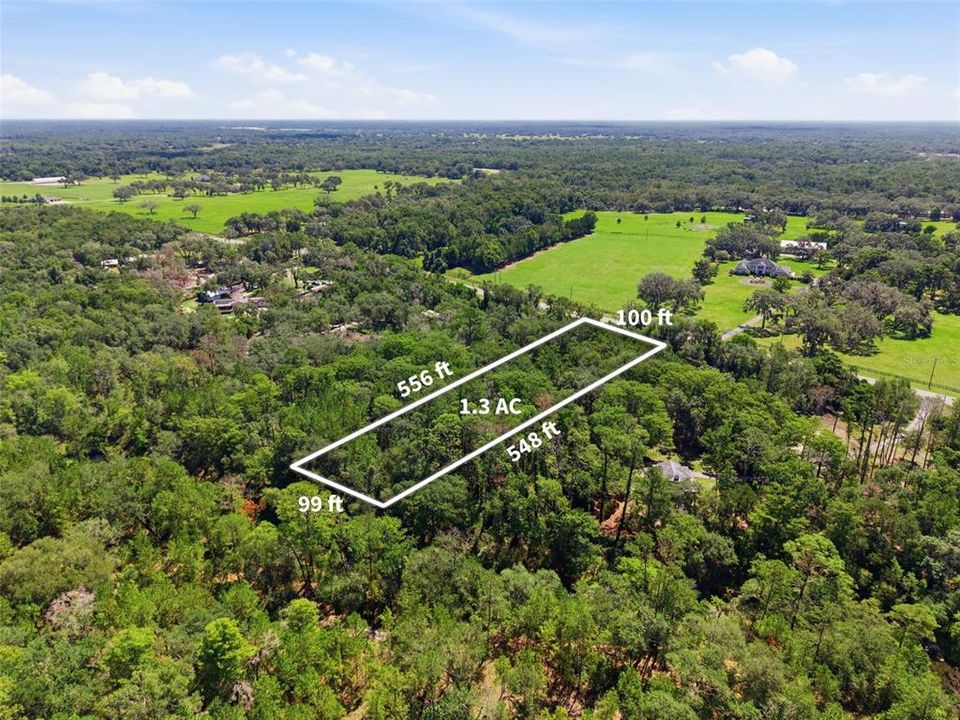 For Sale: $99,000 (1.30 acres)