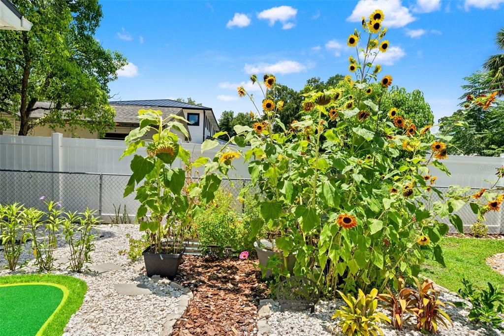 En Venta: $379,000 (3 camas, 1 baños, 999 Pies cuadrados)