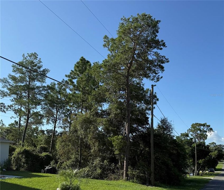 待售: $50,000 (0.24 acres)
