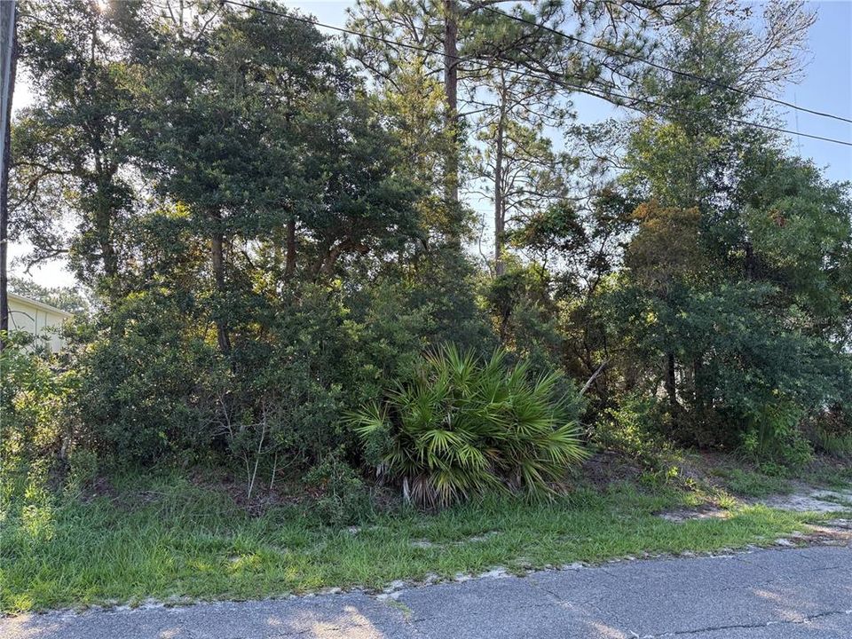 待售: $50,000 (0.24 acres)