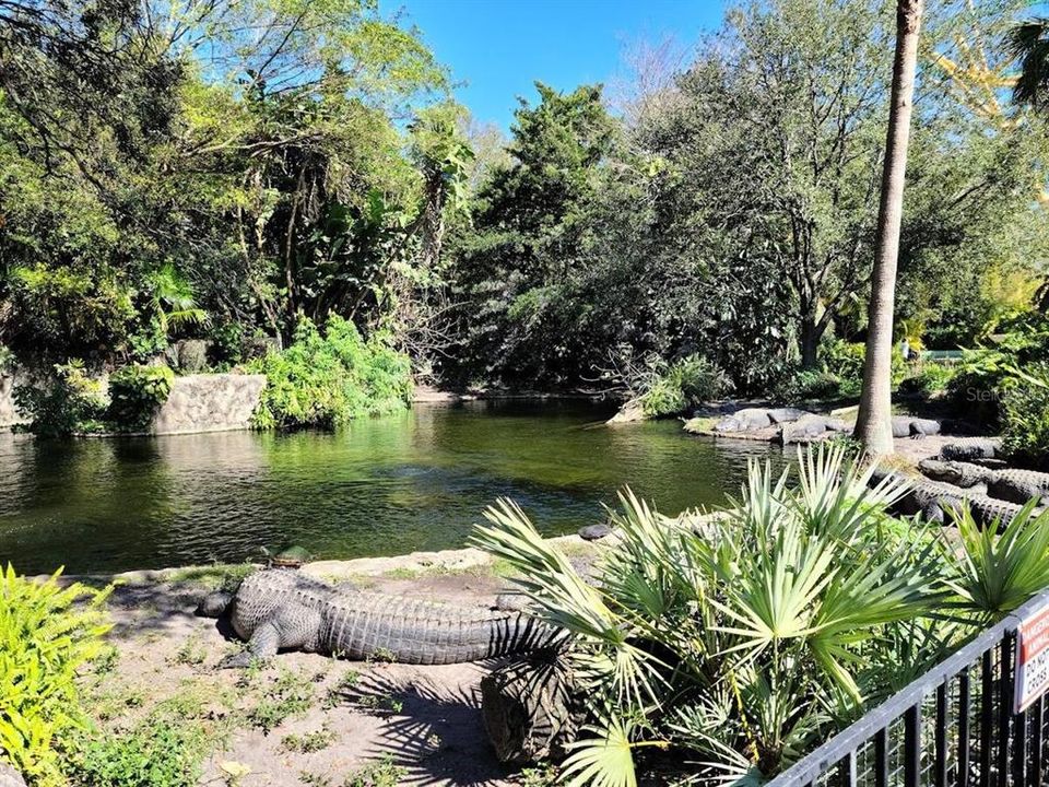 En Venta: $579,990 (4 camas, 3 baños, 2147 Pies cuadrados)