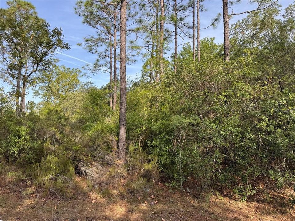 Active With Contract: $21,500 (1.25 acres)