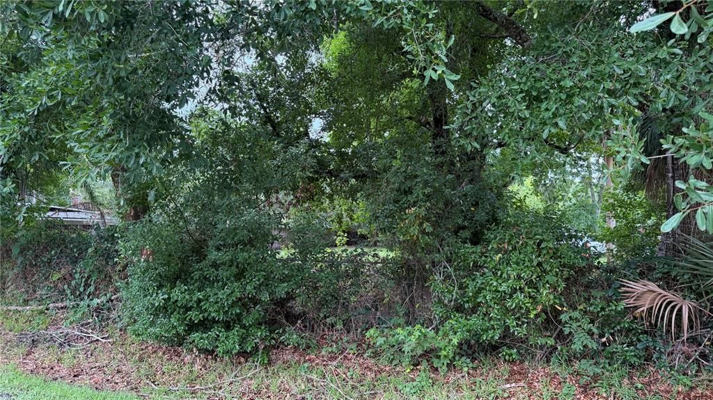 En Venta: $125,000 (0.34 acres)