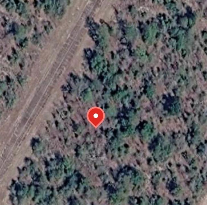 For Sale: $8,000 (0.23 acres)