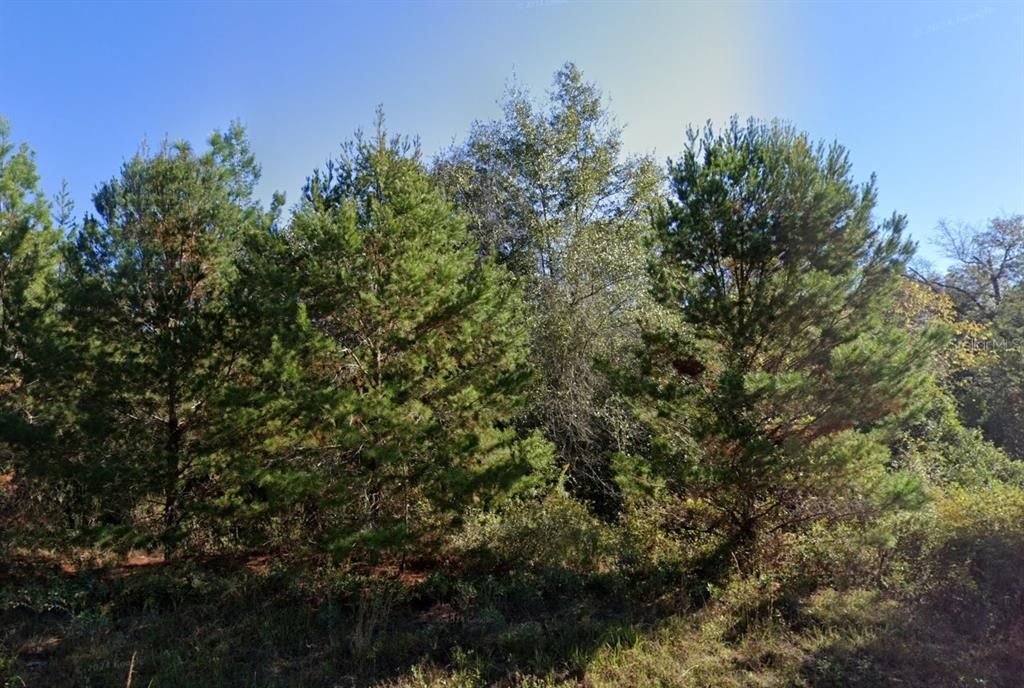 待售: $11,000 (0.23 acres)