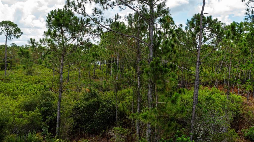 For Sale: $15,000 (0.23 acres)