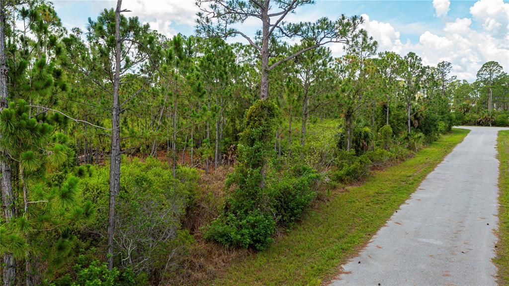 For Sale: $15,000 (0.23 acres)