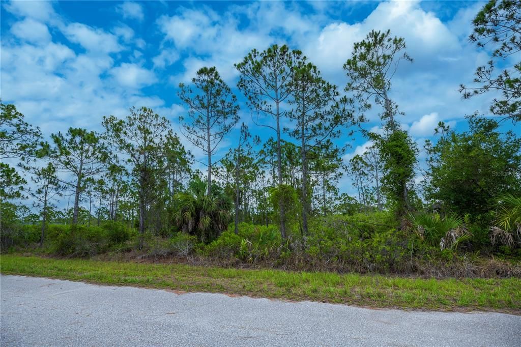 For Sale: $15,000 (0.23 acres)