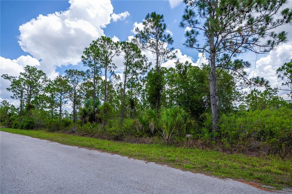 For Sale: $15,000 (0.23 acres)