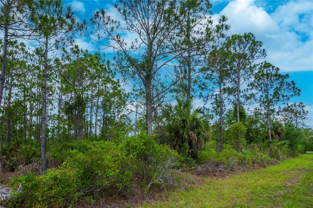 For Sale: $15,000 (0.23 acres)