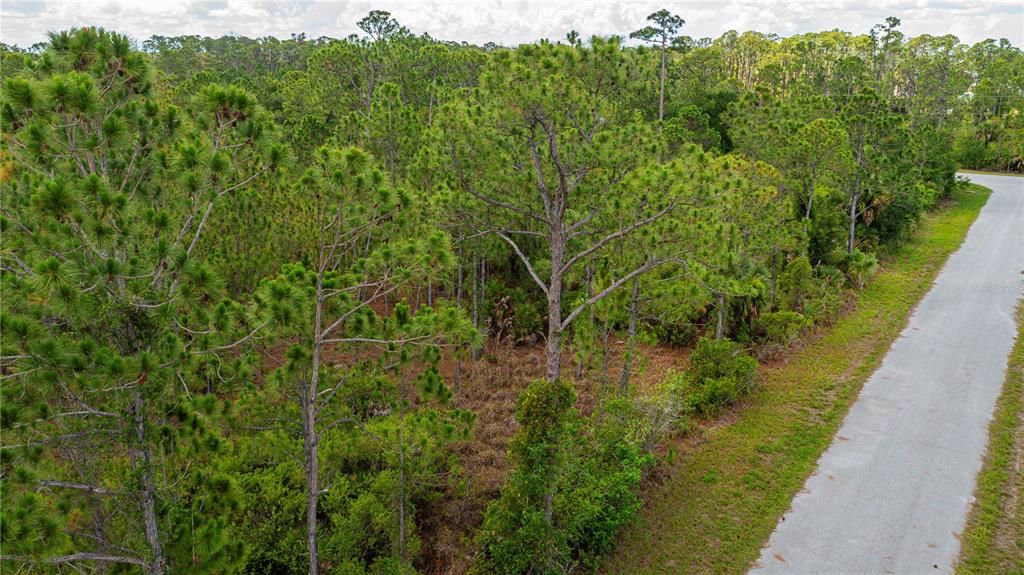 For Sale: $15,000 (0.23 acres)