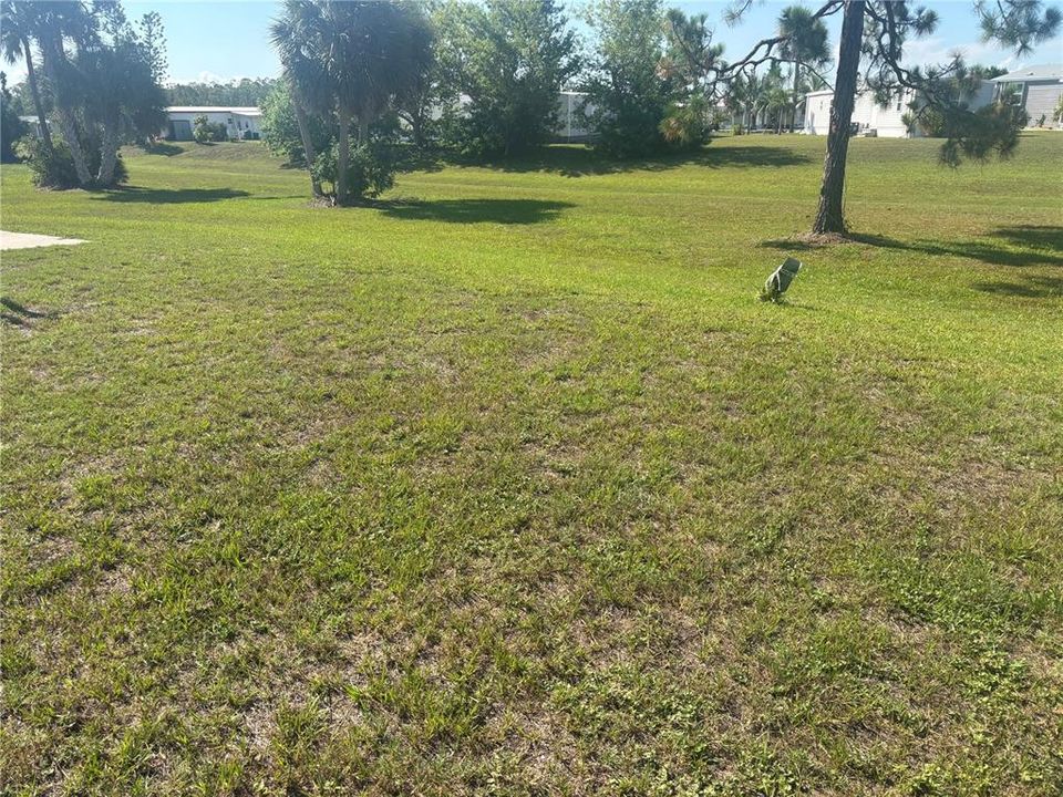 For Sale: $23,000 (0.17 acres)