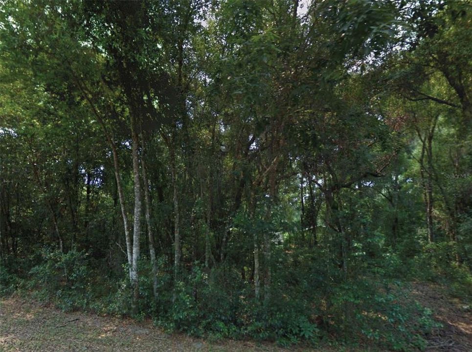 For Sale: $34,000 (0.38 acres)