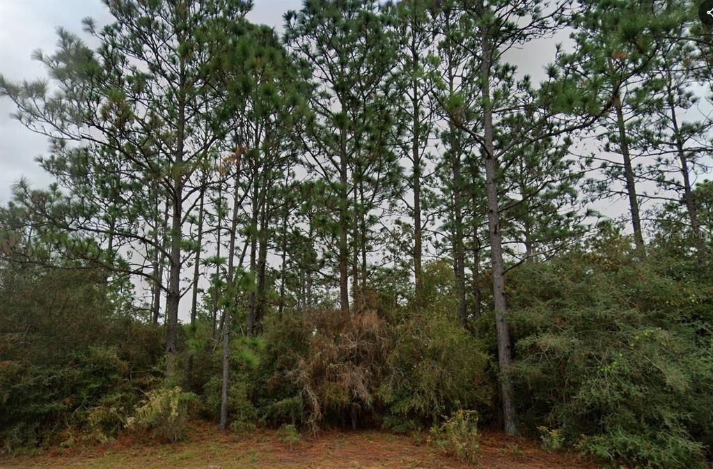 En Venta: $16,500 (0.69 acres)