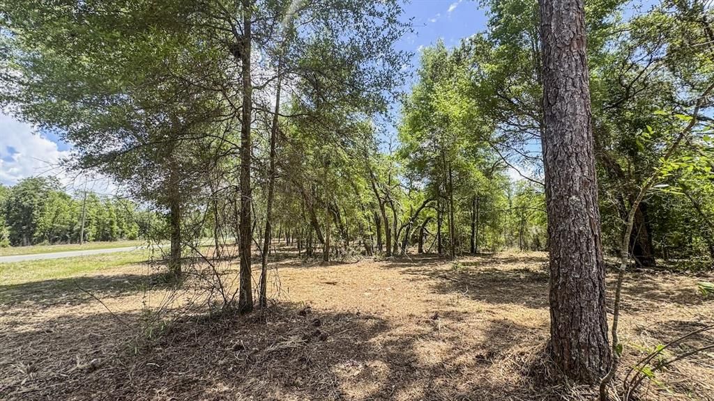 Active With Contract: $469,000 (40.00 acres)