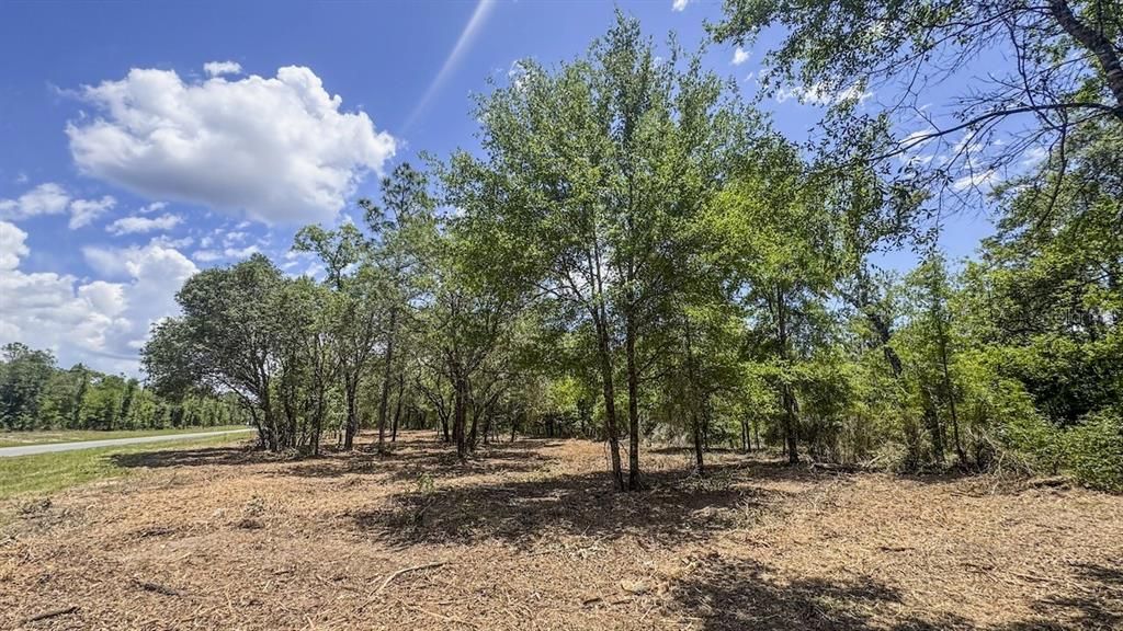 Active With Contract: $469,000 (40.00 acres)