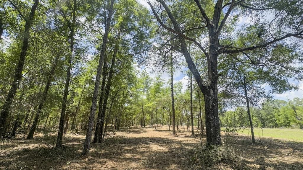 Под контрактом: $395,000 (30.00 acres)