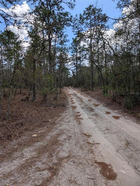 На продажу: $99,000 (2.30 acres)