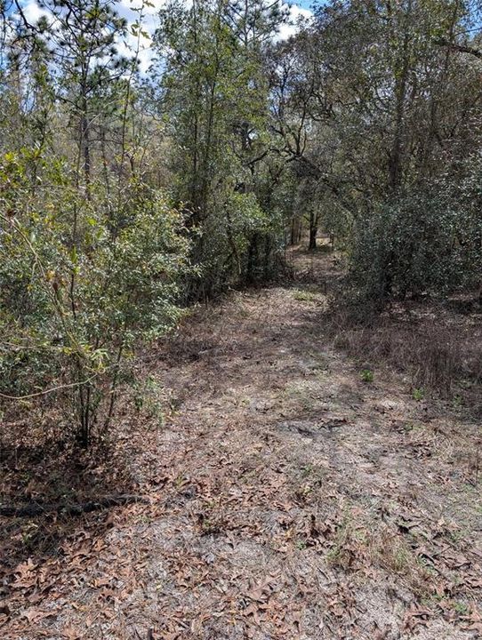 На продажу: $99,000 (2.30 acres)