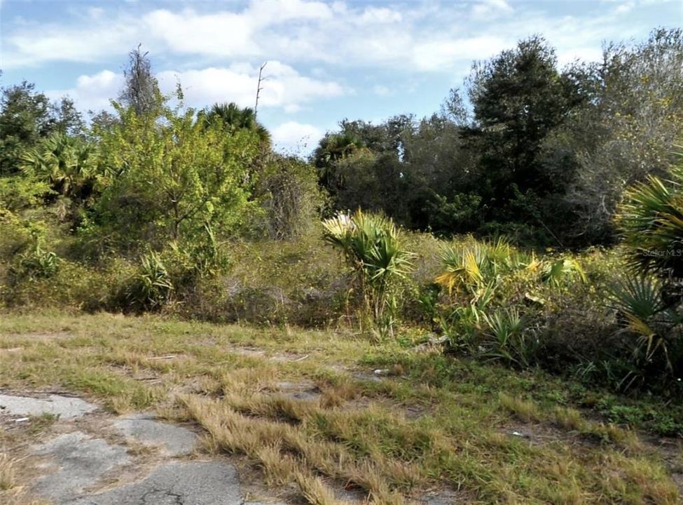 待售: $25,000 (0.32 acres)
