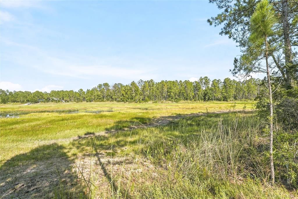 На продажу: $79,999 (0.60 acres)