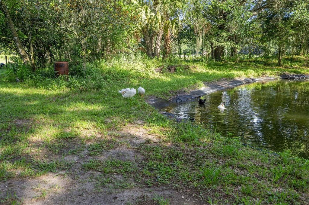 En Venta: $1,100,000 (3 camas, 2 baños, 2550 Pies cuadrados)