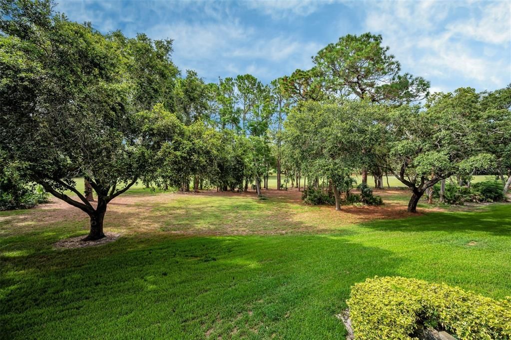 For Sale: $205,900 (1 beds, 1 baths, 610 Square Feet)