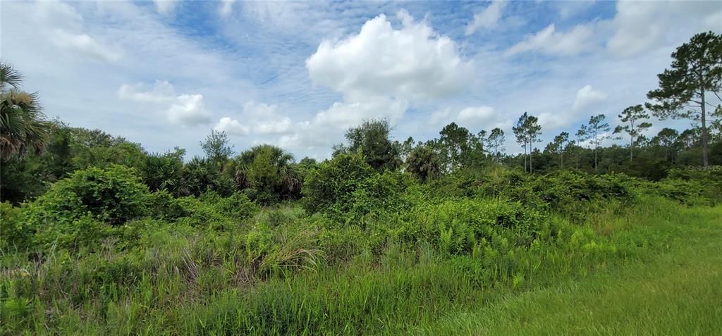 En Venta: $32,500 (1.25 acres)