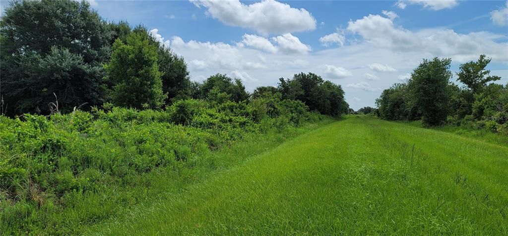En Venta: $32,500 (1.25 acres)
