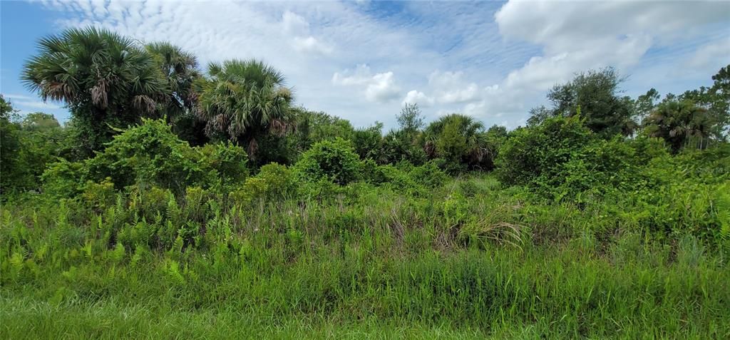 En Venta: $32,500 (1.25 acres)