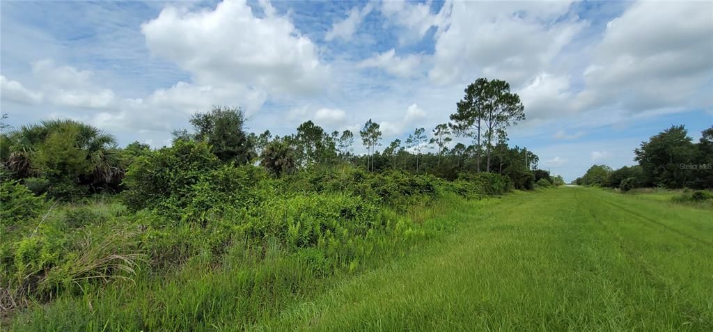 En Venta: $32,500 (1.25 acres)