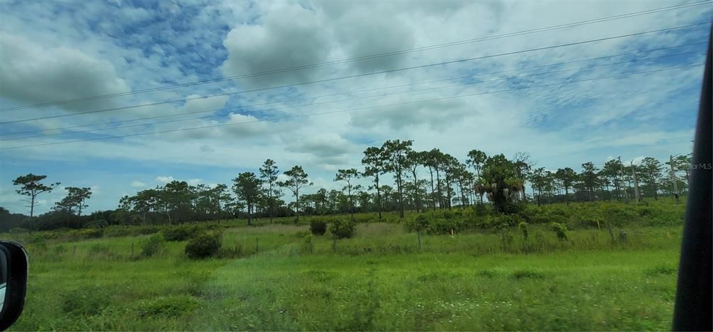 En Venta: $32,500 (1.25 acres)