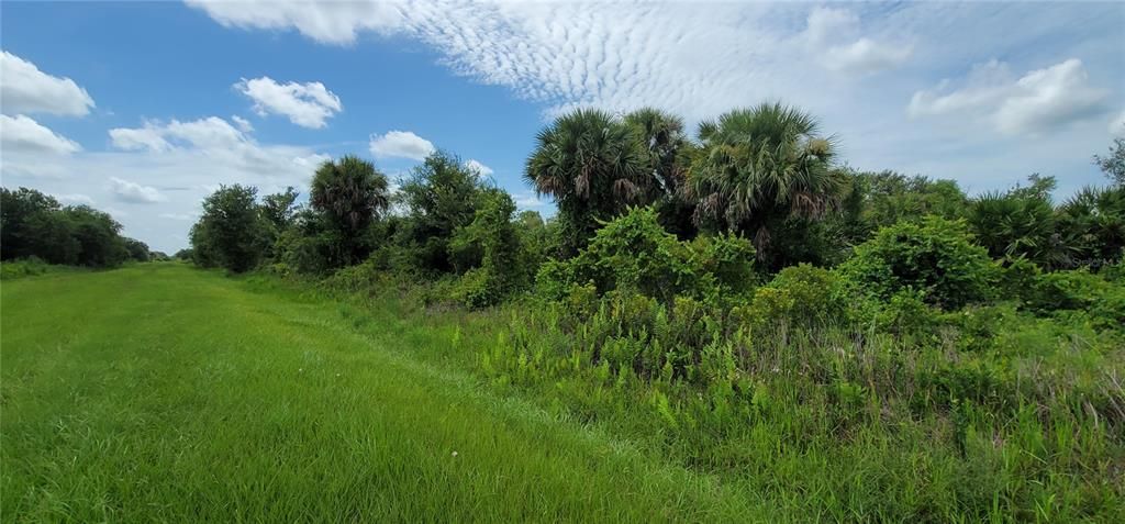 En Venta: $32,500 (1.25 acres)
