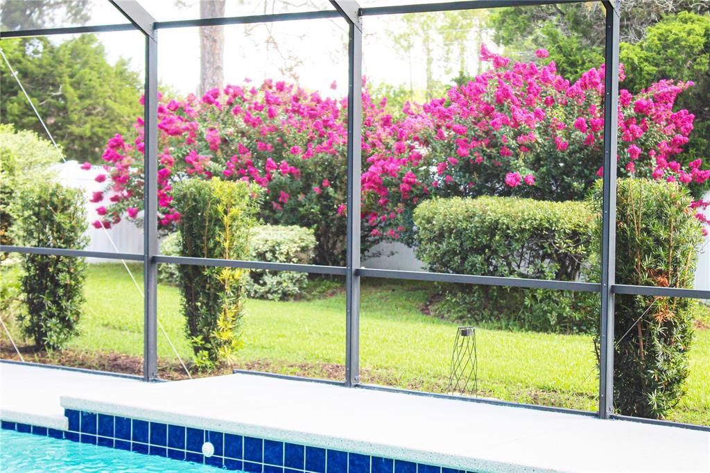 Activo con contrato: $389,600 (3 camas, 2 baños, 1771 Pies cuadrados)