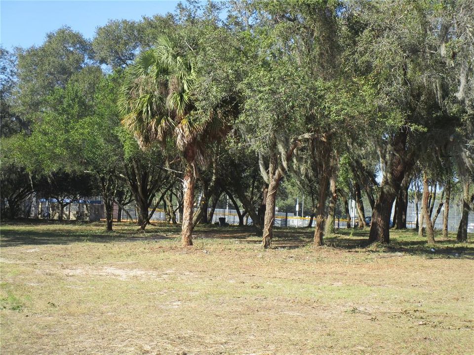 En Venta: $1,600,000 (1.25 acres)