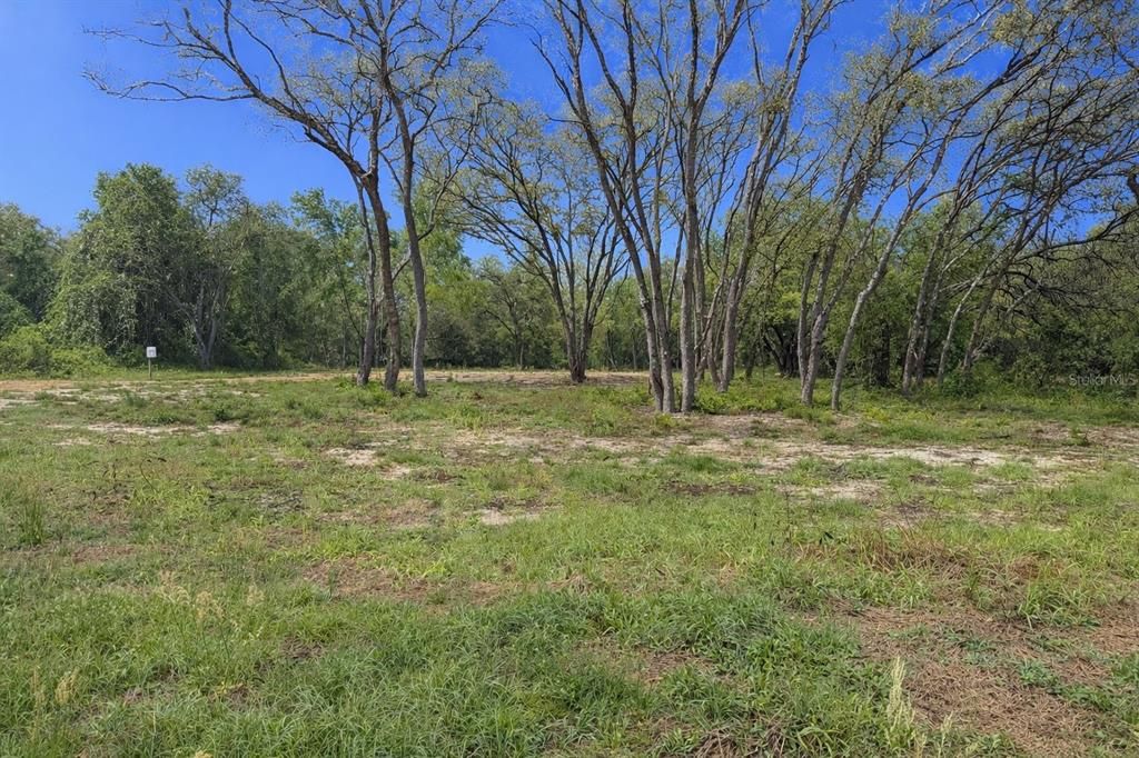 Active With Contract: $65,000 (1.16 acres)